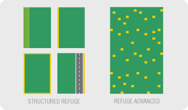 Refuge Advanced diagram.